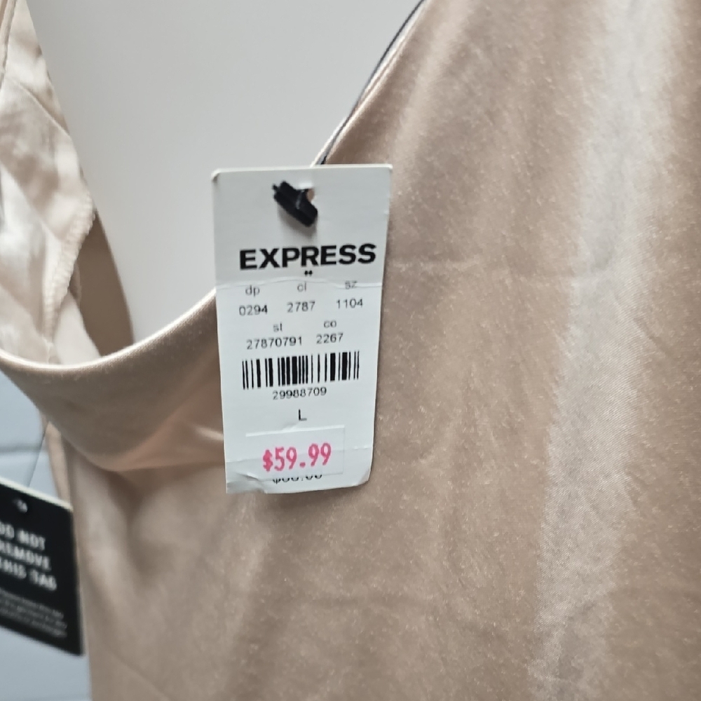 Express Satin Dress in Champagne - Picture 10 of 15